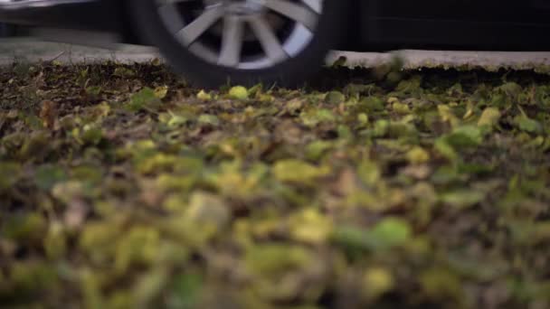 Auto rijden op lege bos weg over levendige gevallen herfst boom bladeren in de herfst — Stockvideo