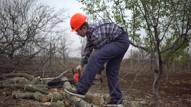 Fiatal favágó indít láncfűrész és fűrészfa rönk, dolgozó biztonsági sisak — Stock videók
