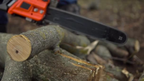 Aserrar tronco de madera por motosierra de cerca en cámara lenta — Vídeo de stock