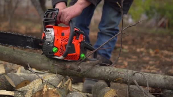 Holzfäller startet Kettensäge und sägt Baumstamm in Zeitlupe — Stockvideo