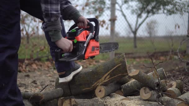 Lumberman working, sawing log, starting chainsaw to cutting trees — Stock Video