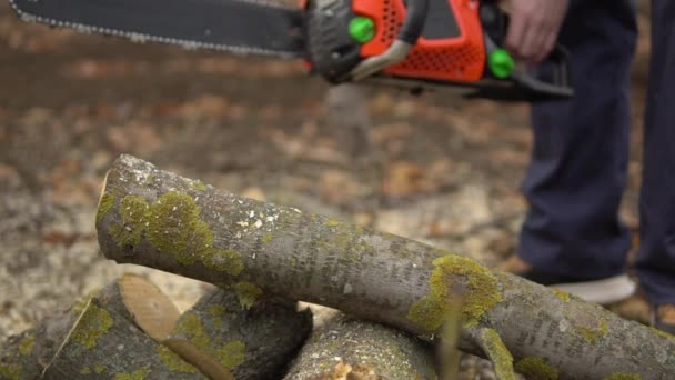 Arborist sawing log by chainsaw in slow motion. Deforestation, forest cutting — Stock Video