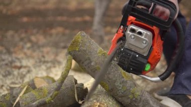 Elektrikli testereyle odun kesen bir işçi. Tahta talaşı ağır çekimde uçuşuyor.