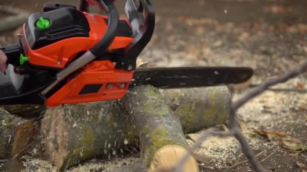 Utiliser une tronçonneuse pour scier les billes. Rasoirs en bois volant au ralenti — Video