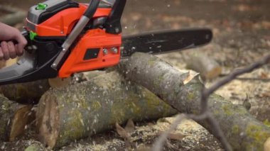 lumberjack sawing tree by chainsaw, wooden shavings flying around in slow motion
