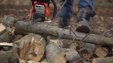 Sawing walnut tree log with chainsaw. Man using chainsaw for housework in slowmo