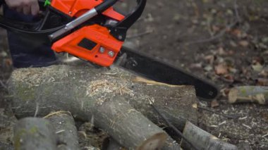 Sawing log with chainsaw. Cutting trees concept
