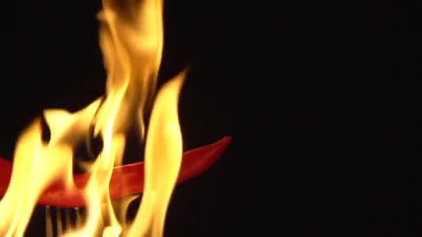 Pimenta quente vermelha a arder em chamas no fundo preto. Pimenta picante — Vídeo de Stock