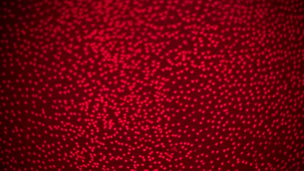 Bokeh luz abstracta corazón rojo fondo, st. Concepto día de San Valentín — Vídeo de stock