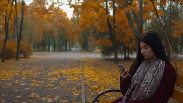 Привлекательная женщина с помощью смартфона, расслабляющая сидя на скамейке в осеннем парке — стоковое видео