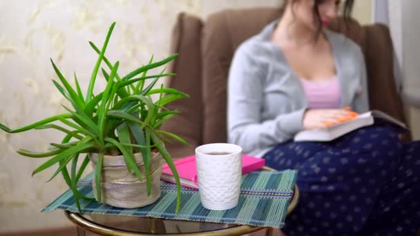 Νεαρή γυναίκα ανάγνωση βιβλίο πολυθρόνα άνετο σαλόνι, λουλούδι στην κατσαρόλα, λευκό φλιτζάνι τσάι — Αρχείο Βίντεο