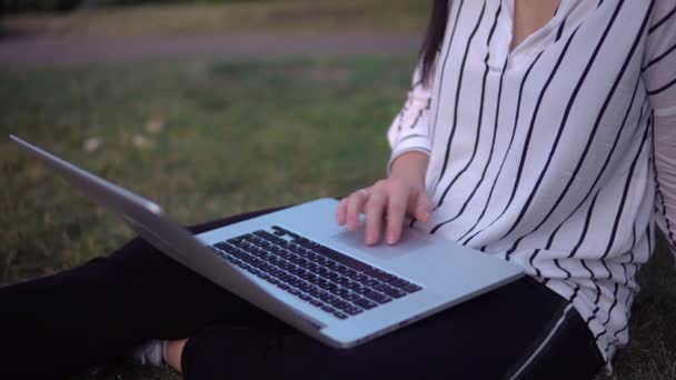 लैपटॉप आउटडोर, रिमोट वर्किंग, फ्रीलांस दूरी नौकरी का उपयोग करना — स्टॉक वीडियो