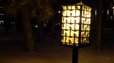 Parktaki sokak lambalarının altında kar taneleri yağıyor. Karlı kış tatilleri