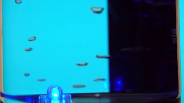 Çarklı masada elektrikli cam çaydanlık, yavaş çekimde kaynar su.