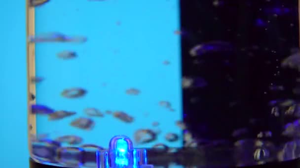 Hervidor electrónico de vidrio transparente con agua hervida, iluminación, cámara lenta — Vídeos de Stock