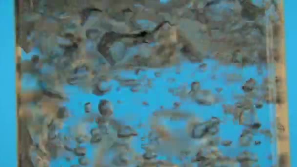 Voda se vaří v transpatent rychlovarná konvice ve zpomaleném filmu zblízka — Stock video
