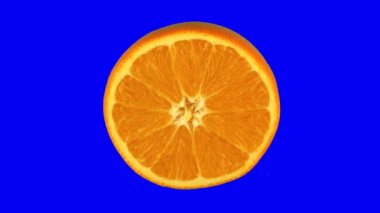 Renkli animasyon arka planı. Turuncu meyve dönüşümlü. Anahtar, mavi yeşil ekran 