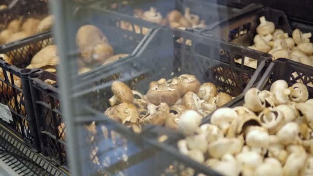 Frau sucht Pilze im Supermarkt aus. Ohne Plastikverpackung. Hände aus nächster Nähe — Stockvideo