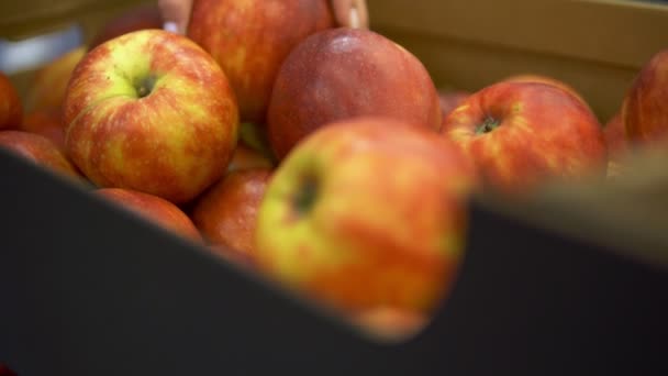 Frau wählt Äpfel im Supermarkt Box mit Äpfeln, frischem Obst, gesunde Ernährung — Stockvideo