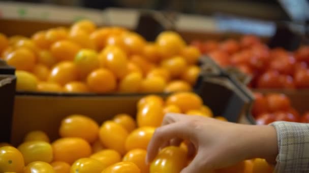 Mujer tomando tomates de la caja, comprando alimentos orgánicos en el mercado de agricultores — Vídeos de Stock