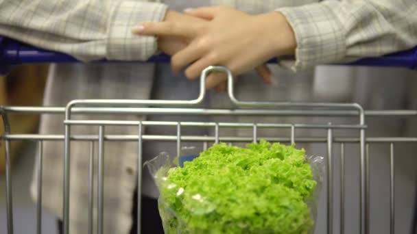 Vrouw wandelen in supermarkt met winkelwagentje, Biologisch gezond voedsel kopen — Stockvideo