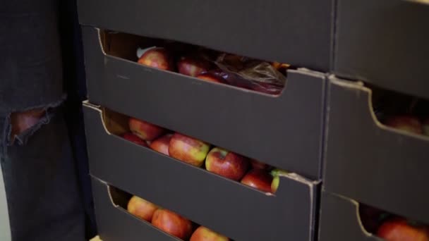 Mulher no supermercado escolhendo maçãs da caixa. Alimentação saudável. Mercado dos agricultores — Vídeo de Stock