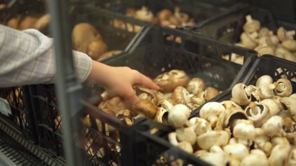 Vrouw die paddenstoelen uit de doos neemt. Laag afval, geen plastic zakken concept — Stockvideo