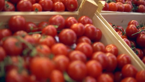 Vrouw in supermarkt neemt kerstomaten uit doos, biologische voedselboeren markt — Stockvideo