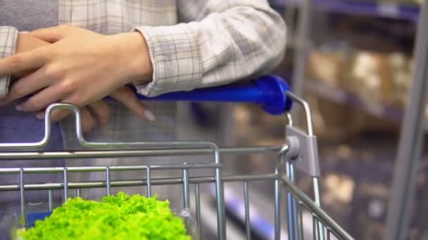 Nő kéz tolja a bevásárlókocsi a szupermarketben, élelmiszer vásárlási koncepció — Stock videók