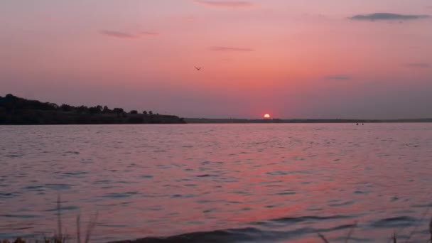 Letni zachód słońca nad rzeką. Słońce pod wodą. Wieczorne spacery koncepcja zewnątrz — Wideo stockowe