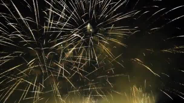Fogos de artifício verdadeiros no céu. Festa nocturna, celebração. Ano Novo 2022 — Vídeo de Stock