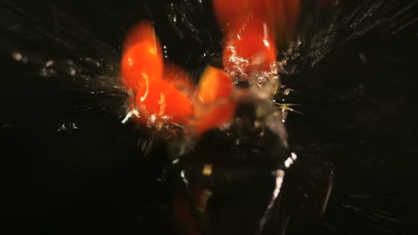 Mouvement lent des tomates tombant avec des gouttes d'eau sur la surface noire . — Video