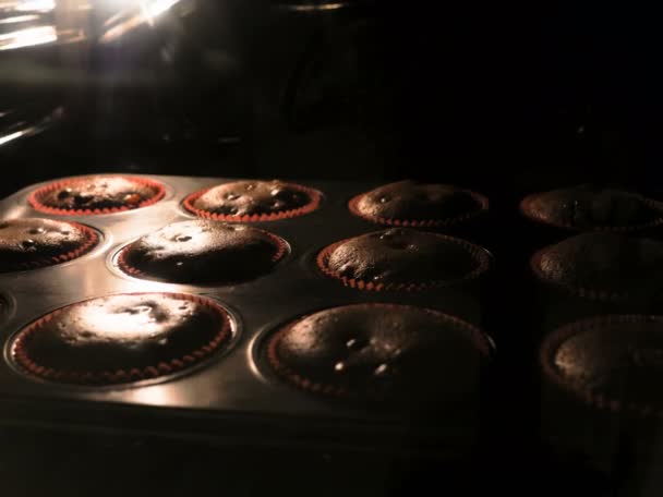 Selectieve aandacht shot van muffins bakken, time-lapse 4k — Stockvideo