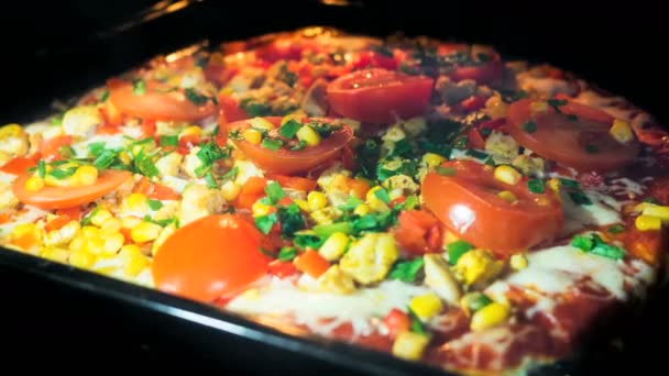 Timelapse tam pişirme Pizza fırın 4 k ısıtmalı — Stok video