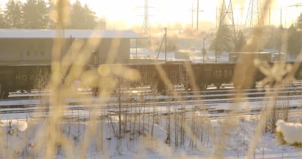 View of moving train in train station depot. Winter nature — Stock Video