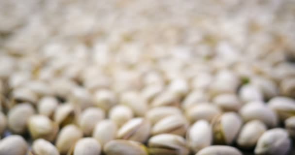 Orzech pistacjowy ruchu głębia ostrości 4k — Wideo stockowe