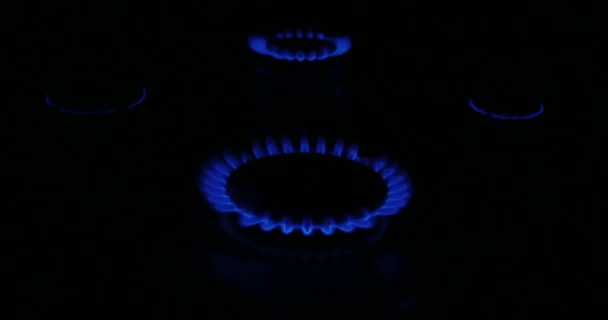 Naturgas inflammation i spisen brännare 4 lågor 4k — Stockvideo