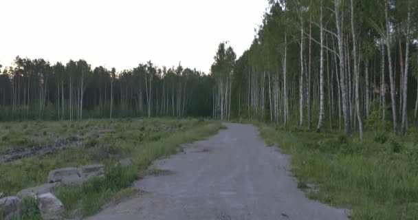 Landning passagerarplan i kväll 4k — Stockvideo