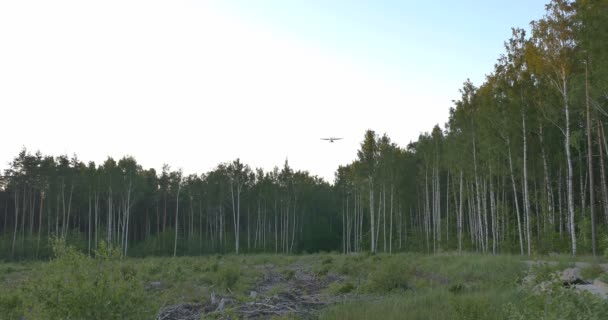 Landing passenger plane in evening 4k — Stock Video