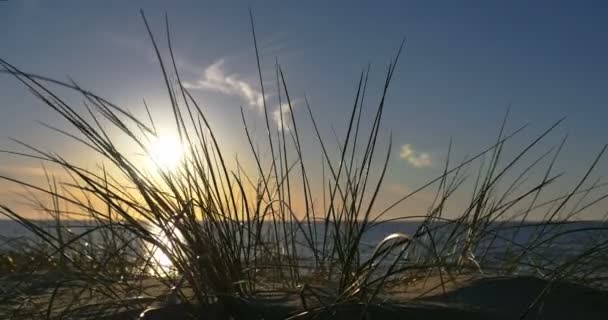 Playa soleada con dunas de arena y cielo azul — Vídeos de Stock