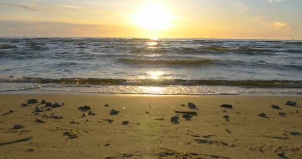 日落和海滩 4 k — 图库视频影像