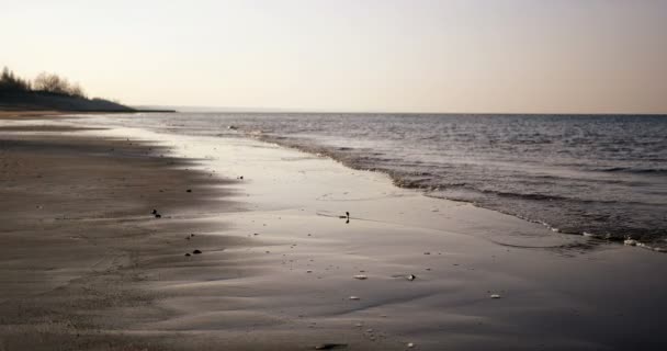 Playa de arena en el mar Báltico, Riga Letonia — Vídeos de Stock