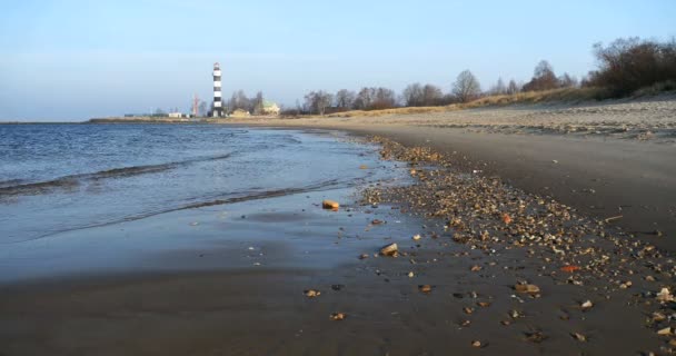 リガ ラトビア バルト海の砂浜 — ストック動画