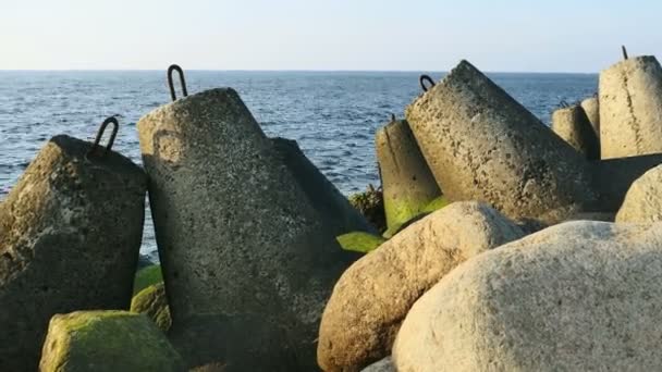 Hierba marina sobre piedras en la playa de Letonia — Vídeos de Stock
