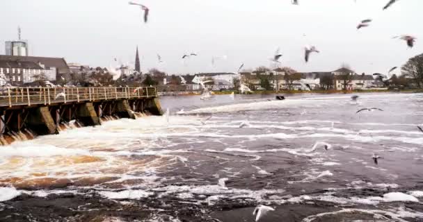 Vista na usina hidrelétrica no rio na Irlanda — Vídeo de Stock