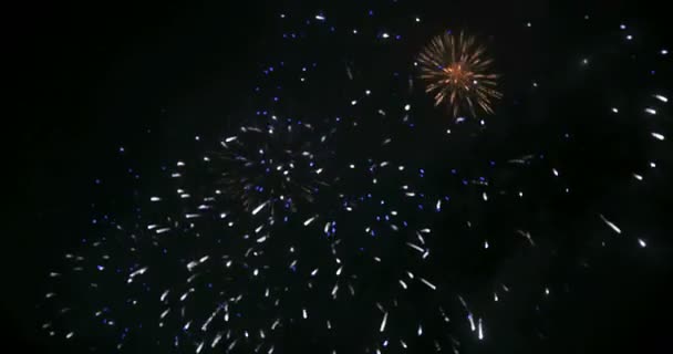 Фейерверки в большом европейском городе Риге, День Независимости, Новый год — стоковое видео