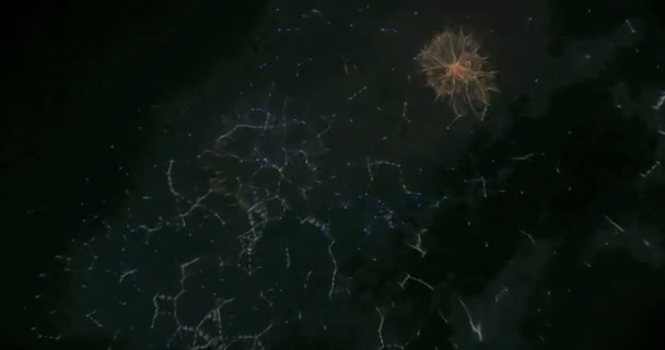 Suddig fairy ljus från fireworks bakgrund. — Stockvideo