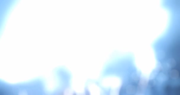 lumières de fées floues de fond de feux d'artifice .