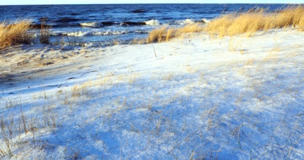 ビーチグラスとバルト海のビーチ沿いの雪の砂丘のシーン — ストック動画