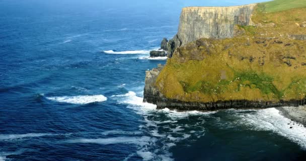 Cliffs of Moher in County Clare, Ireland — Stock Video